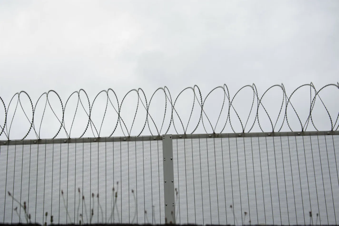 Security Fence